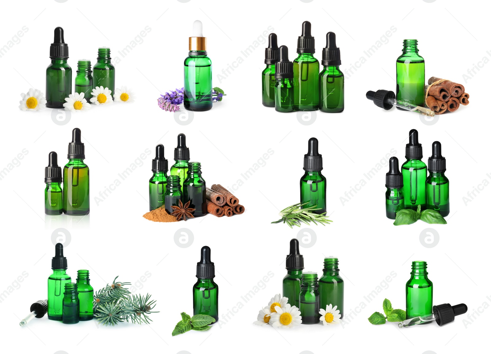 Image of Set with bottles of different essential oils on white background