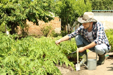 Photo of Man working in garden on sunny day