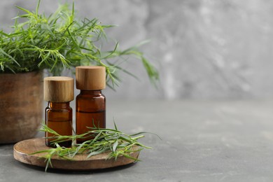 Photo of Bottles of essential oil and fresh tarragon leaves on grey table. Space for text