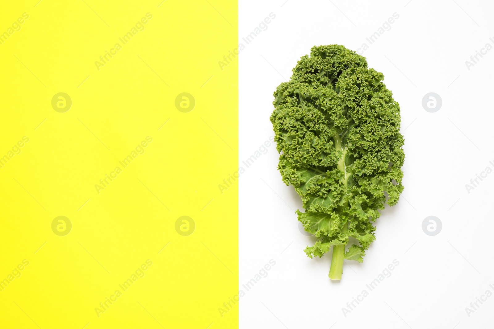 Photo of Fresh kale leaf on color background, top view. Space for text