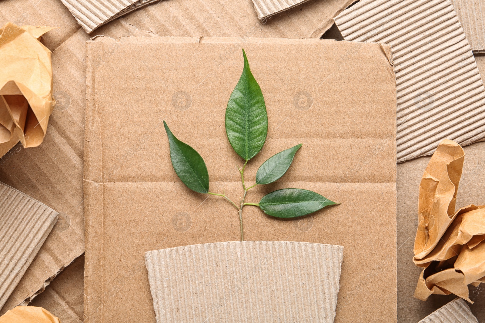 Photo of Flat lay composition with pieces of cardboard and green branch. Recycling problem