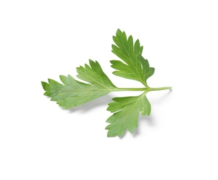 Fresh green organic parsley on white background