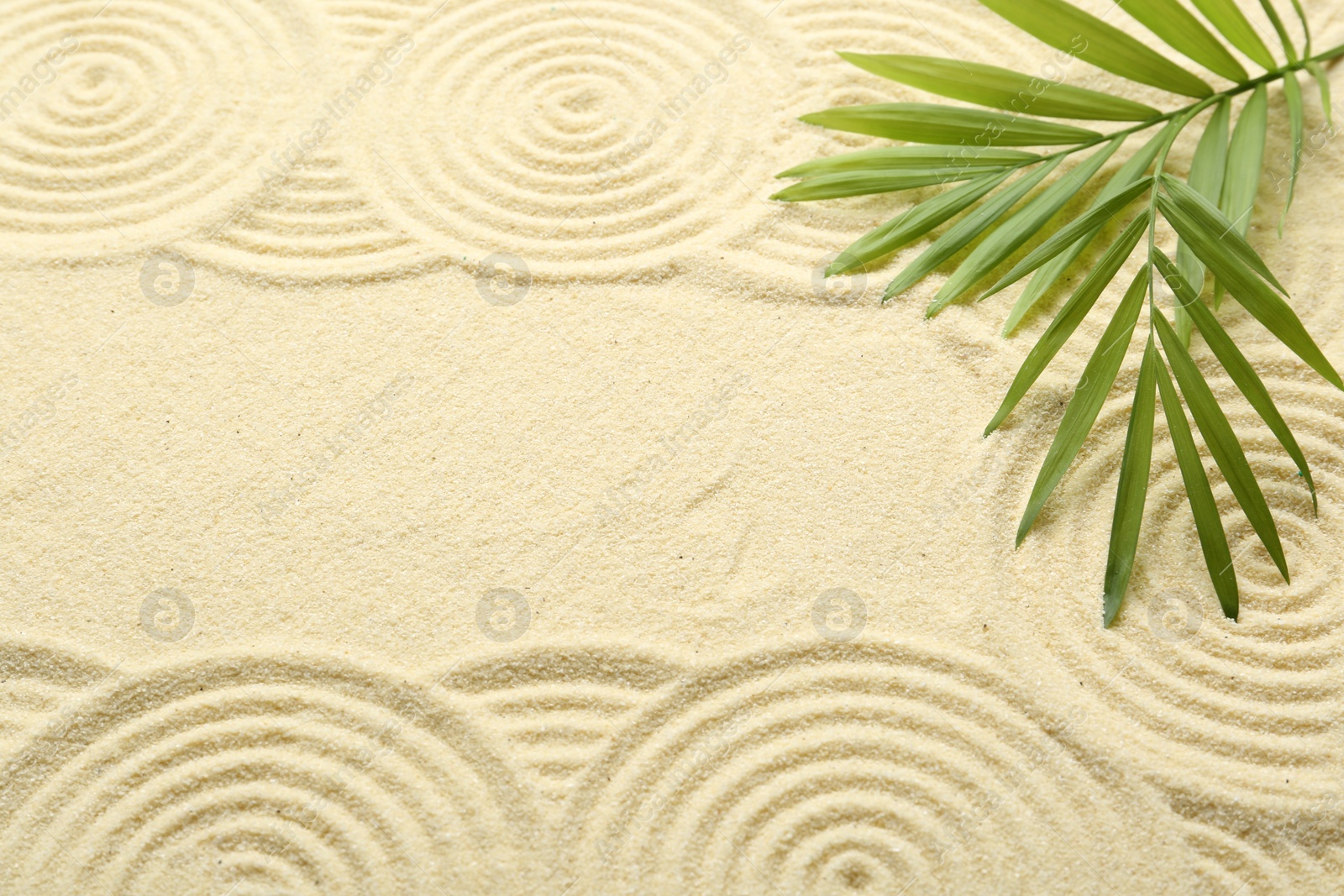 Photo of Zen rock garden. Circle patterns and green leaves on beige sand