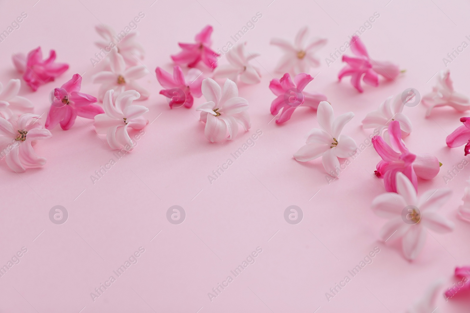 Photo of Frame made of spring hyacinth flowers on color background, closeup. Space for text