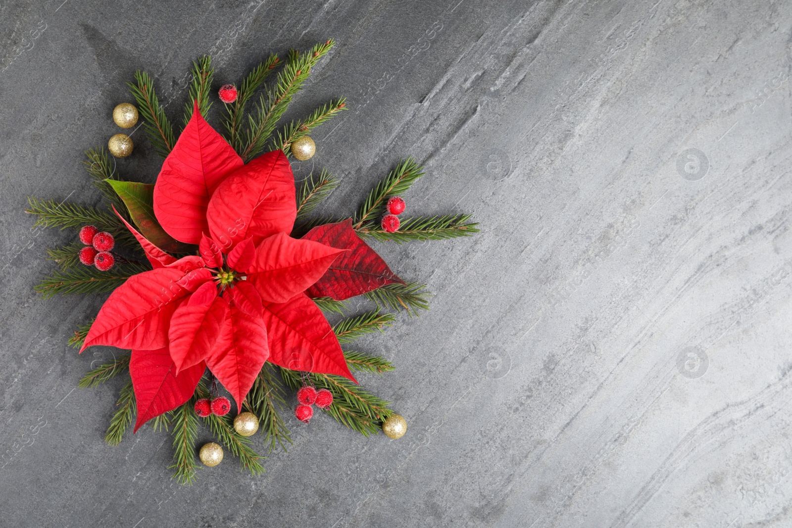 Photo of Flat lay composition with beautiful poinsettia on grey background, space for text. Christmas traditional flower