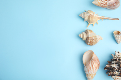 Photo of Different beautiful sea shells on light blue background, flat lay. Space for text