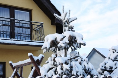 Photo of Snowy fir tree near cottage outdoors on winter day