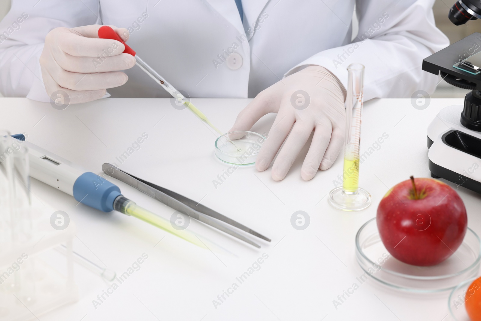 Photo of Quality control. Food inspector checking safety of products in laboratory, closeup