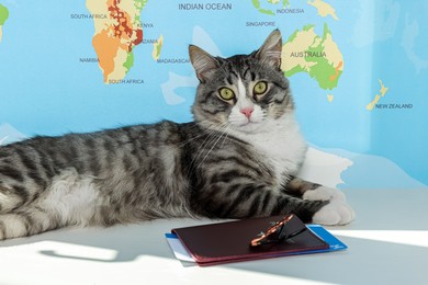 Photo of Cute cat, passport, tickets and sunglasses on white table near world map. Travelling with pet
