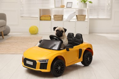 Photo of Adorable pug dog in toy car indoors