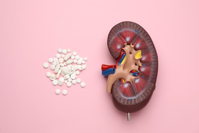 Kidney model and pills on pink background, flat lay