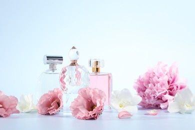 Bottles of luxury perfumes and floral decor on light background