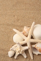 Photo of Beautiful sea stars, shells and stones on sand, above view. Space for text