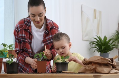 Photo of Mother and daughter planting seedlings into pots together at wooden table in room