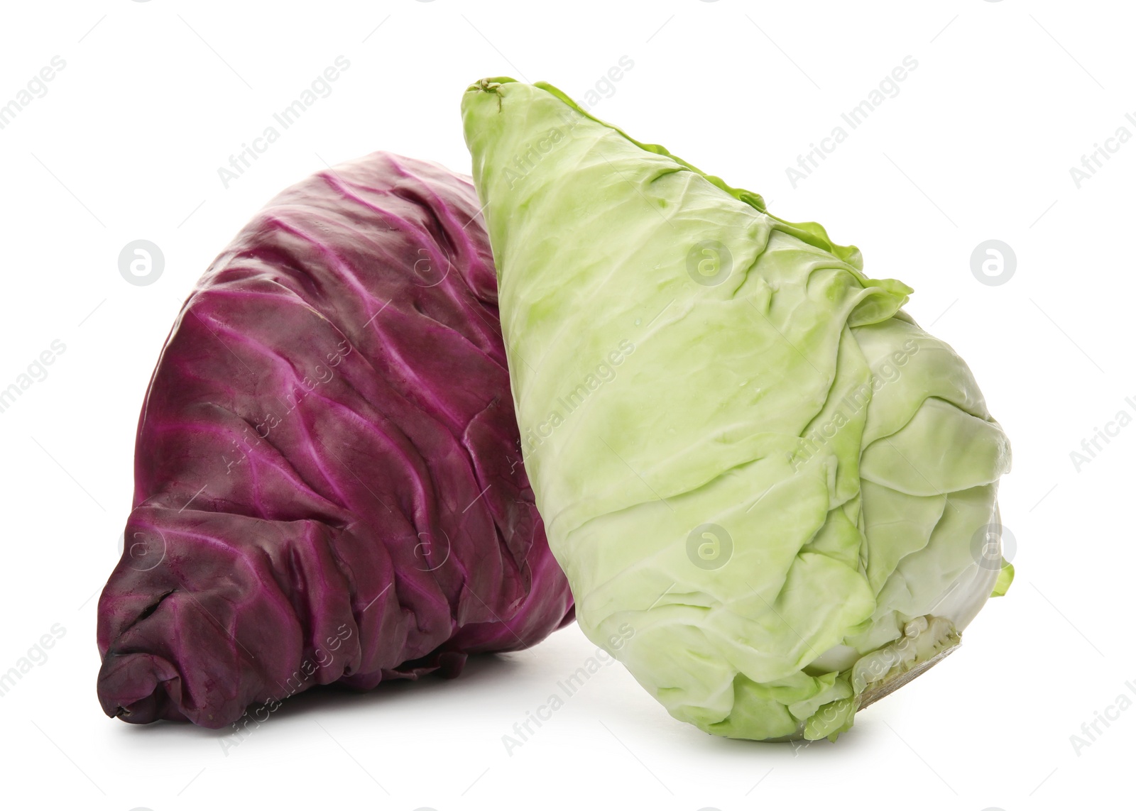 Photo of Pointed fresh cabbages on white background. Healthy food