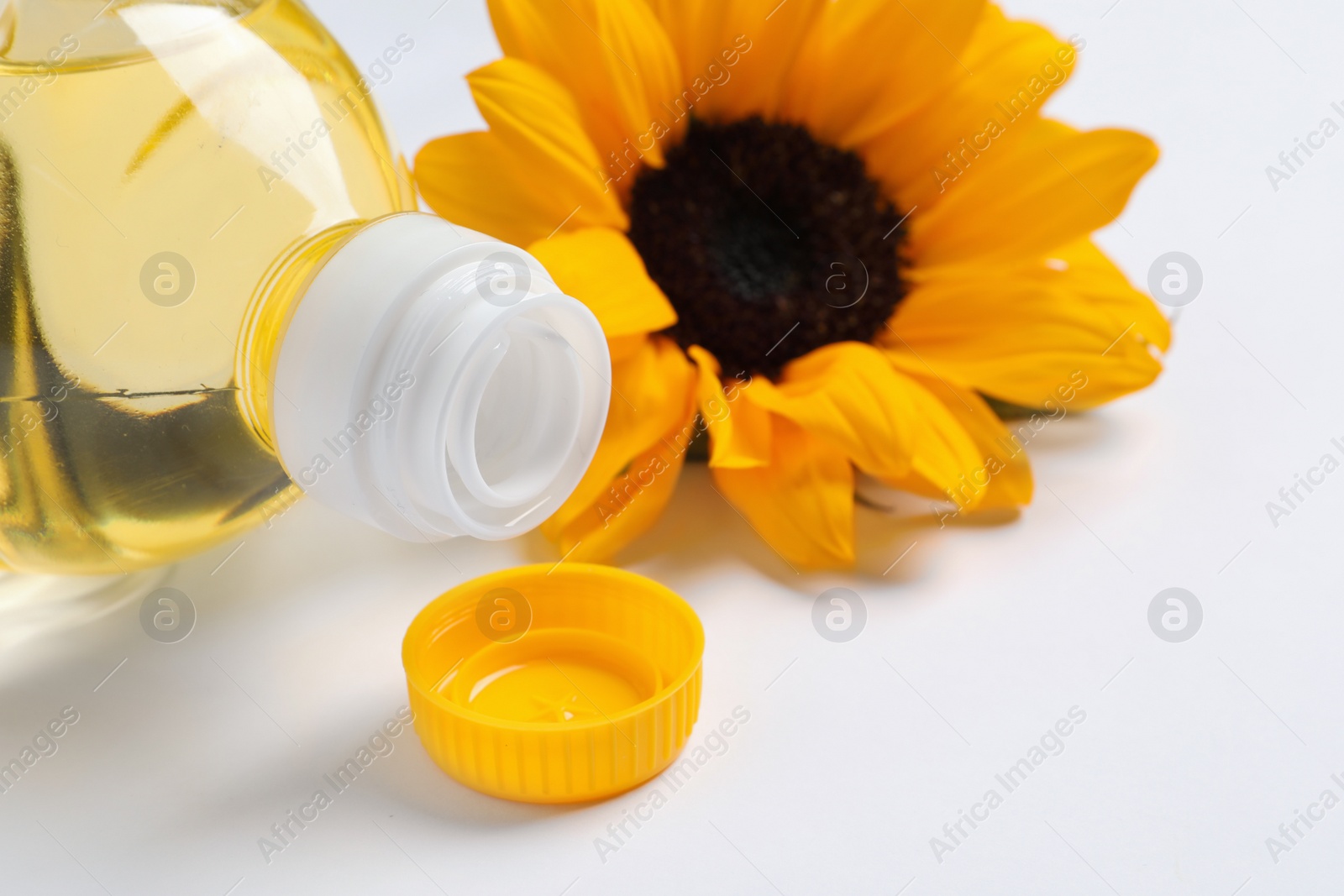 Photo of Bottle of cooking oil and sunflower on white table, closeup