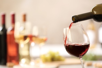 Pouring red wine from bottle into glass on blurred background. Space for text