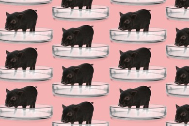 Image of Small pigs in Petri dishes on pink background, pattern design. Cultured meat concept