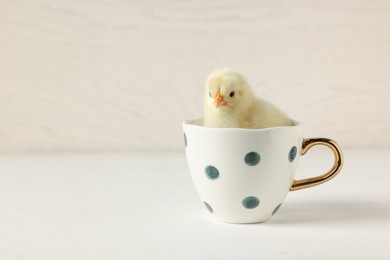 Photo of Cute chick in cup on white wooden table, closeup with space for text. Baby animal