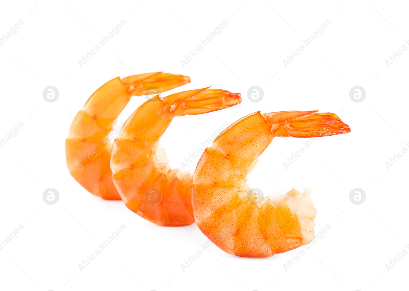 Photo of Delicious freshly cooked shrimps isolated on white