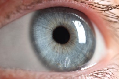 Photo of Macro photo of woman with beautiful eyes