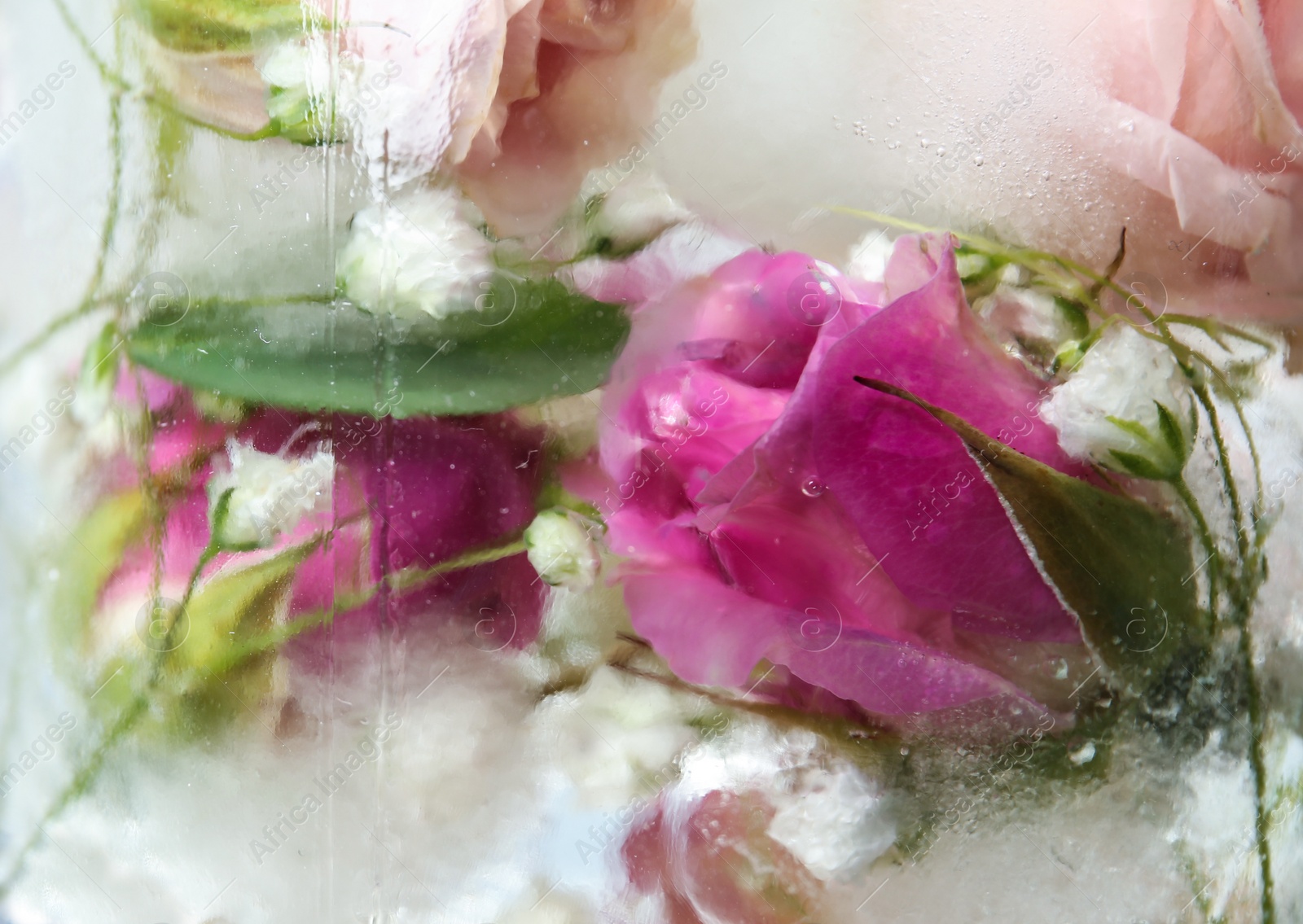 Photo of Glass of water with ice cubes and flowers, closeup