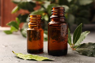 Bottles of bay essential oil and fresh leaves on light grey table, closeup