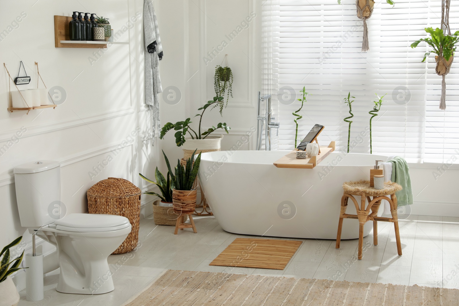 Photo of Stylish white tub and green houseplants in bathroom. Interior design