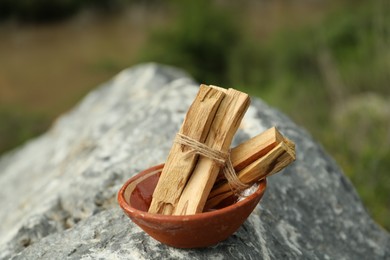 Many palo santo sticks on stone surface outdoors