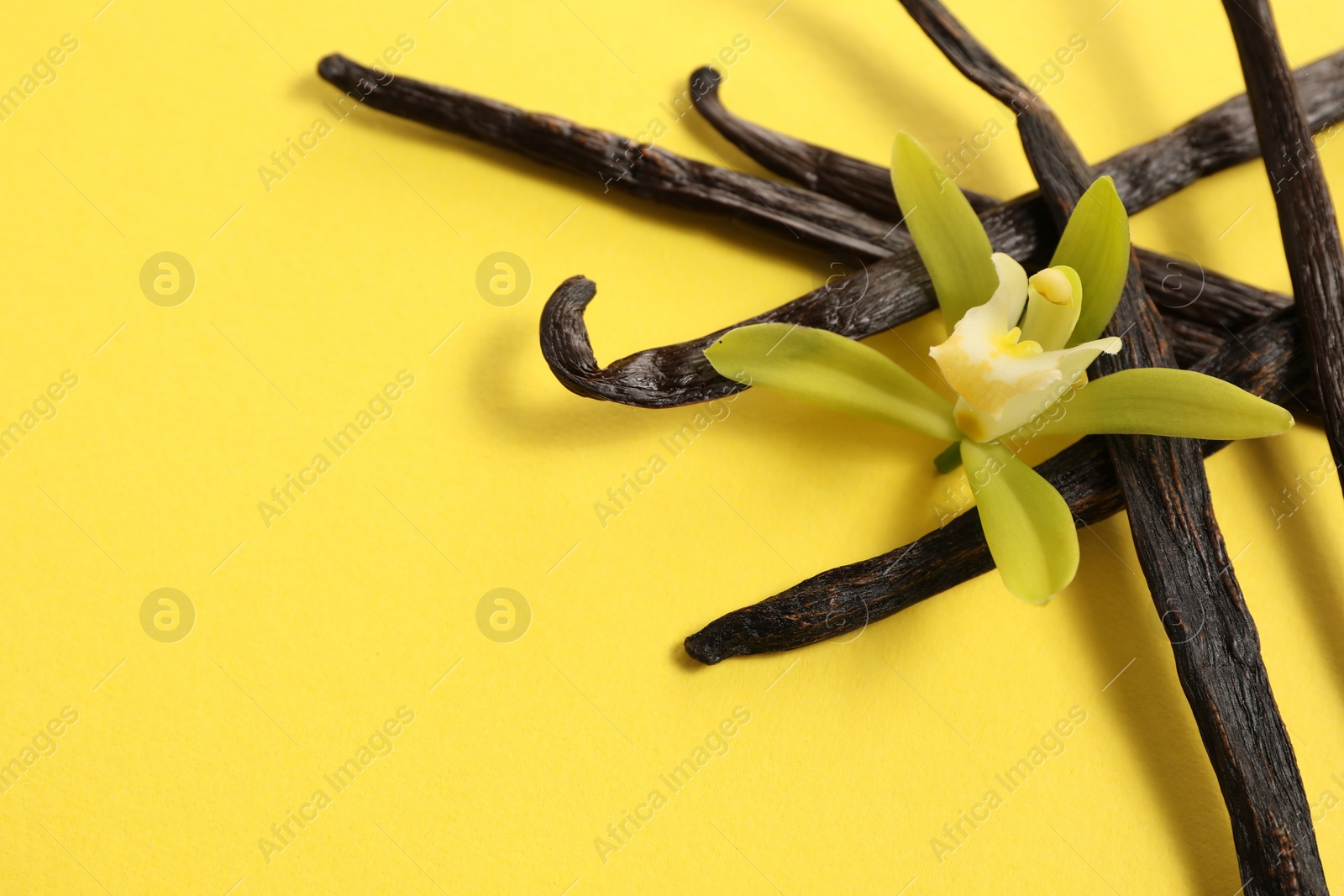 Photo of Vanilla pods and beautiful flower on yellow background. Space for text