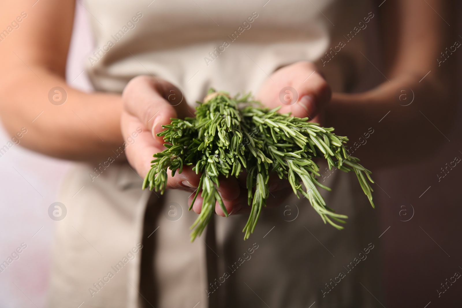 Photo of Woman holding fresh rosemary twigs in hands, closeup