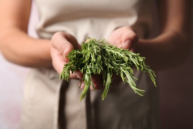 Photo of Woman holding fresh rosemary twigs in hands, closeup
