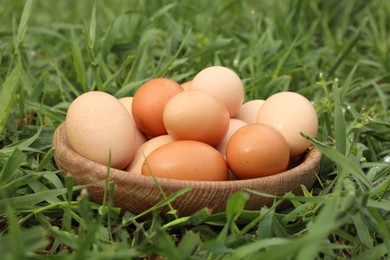 Fresh chicken eggs on green grass outdoors, closeup