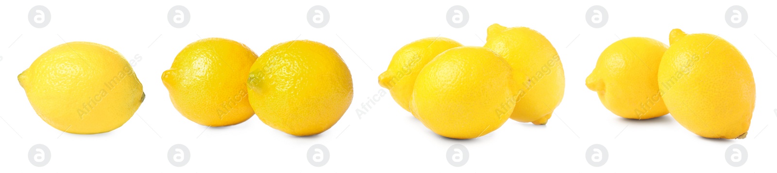 Image of Set with fresh ripe lemons on white background. Banner design 