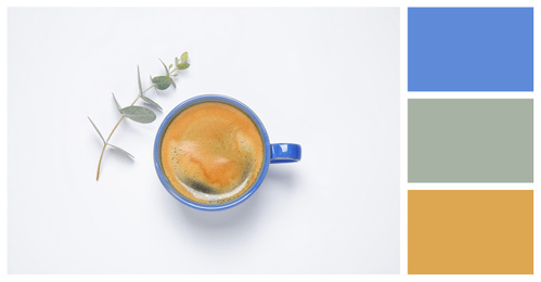Coffee in cup and eucalyptus on white background, top view. Color of the year 2020 (Classic blue)
