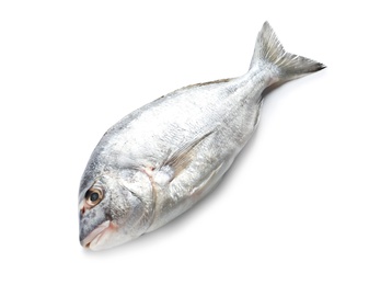 Raw fish on white background. Natural food high in protein