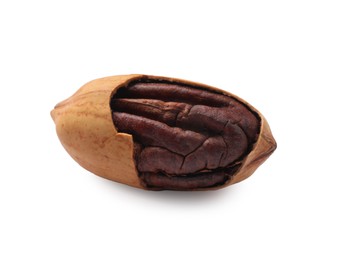 Photo of Tasty pecan nut with shell isolated on white