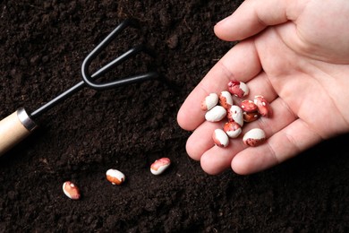 Woman with beans near fertile soil, top view. Vegetable seeds