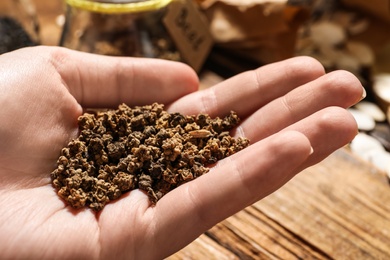 Photo of Woman holding pile of beet seeds, closeup. Vegetable planting