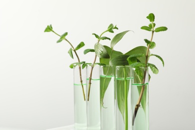 Photo of Test tubes with liquid and plants on white background. Chemistry concept