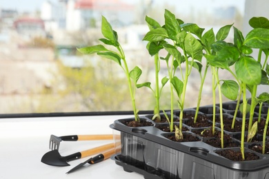 Photo of Vegetable seedlings and garden tools on window sill indoors