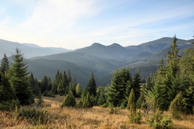 Photo of Beautiful view of mountain landscape with forest on sunny day