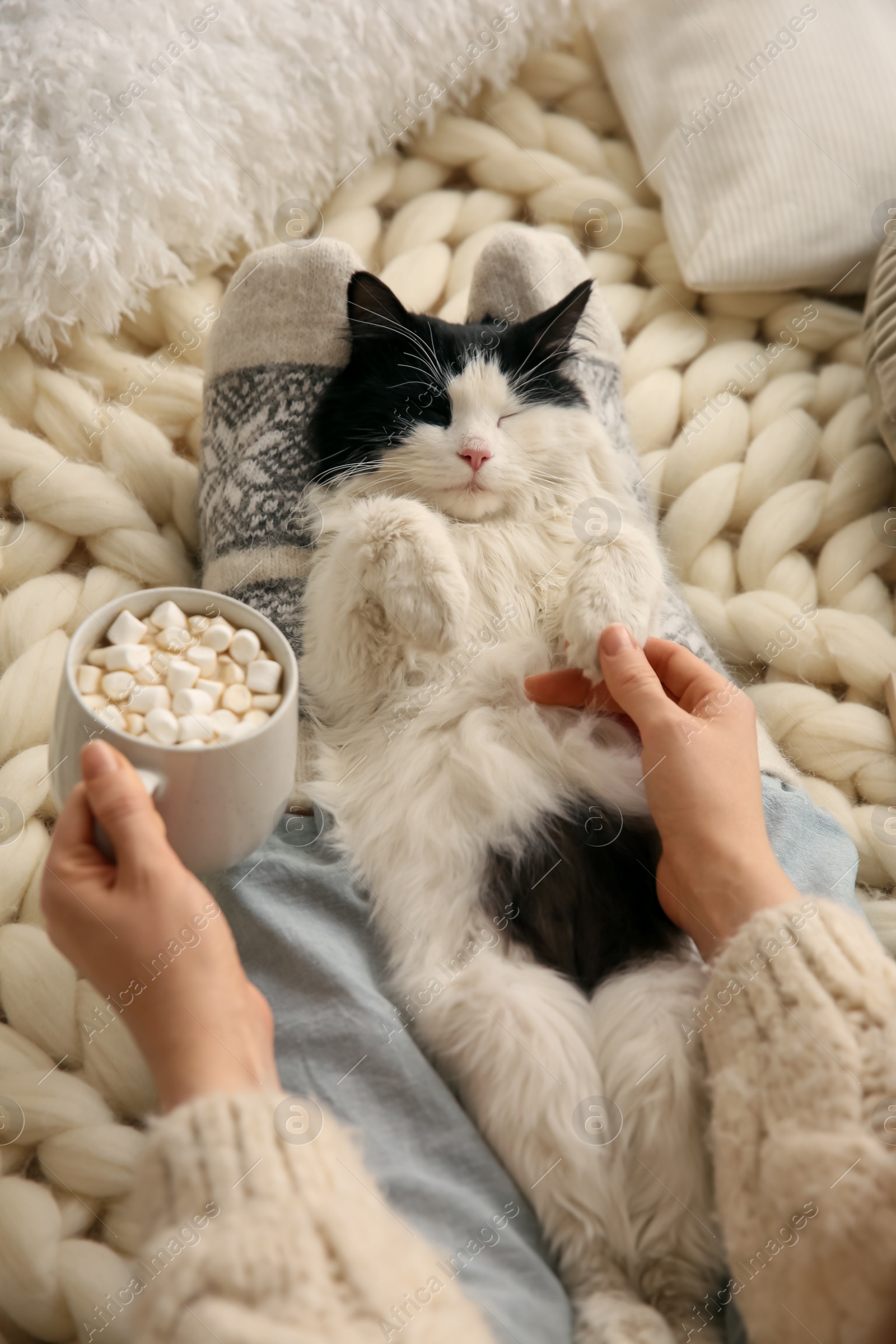 Photo of Woman holding cup of hot drink and stroking adorable cat on knitted blanket, view from above