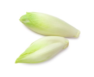 Photo of Raw ripe chicories on white background, top view