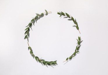 Photo of Eucalyptus branches with fresh green leaves on white background, top view. Space for text