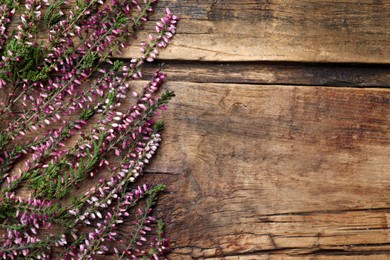 Heather branches with beautiful flowers on wooden table, flat lay. Space for text