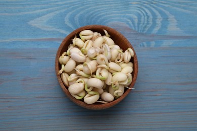 Photo of Sprouted kidney beans in bowl on light blue wooden table, top view