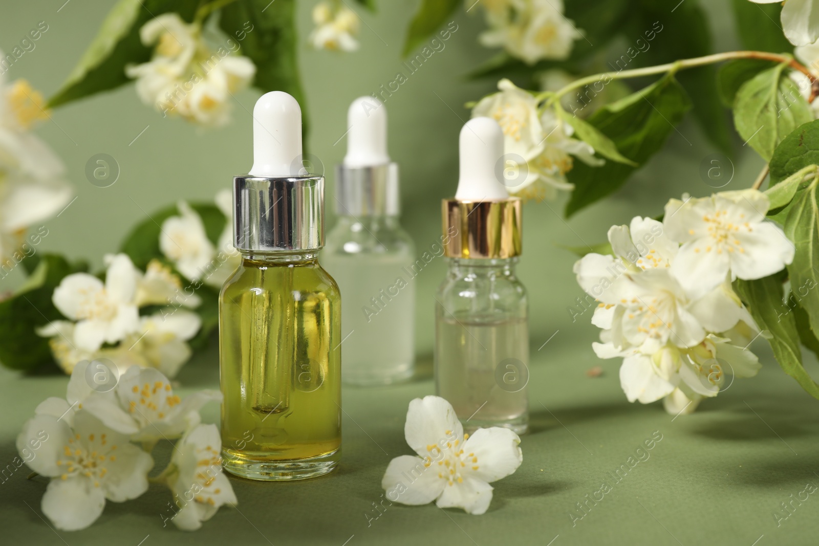 Photo of Essential oils in bottles and beautiful jasmine flowers on pale green background, closeup