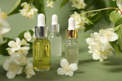 Essential oils in bottles and beautiful jasmine flowers on pale green background, closeup