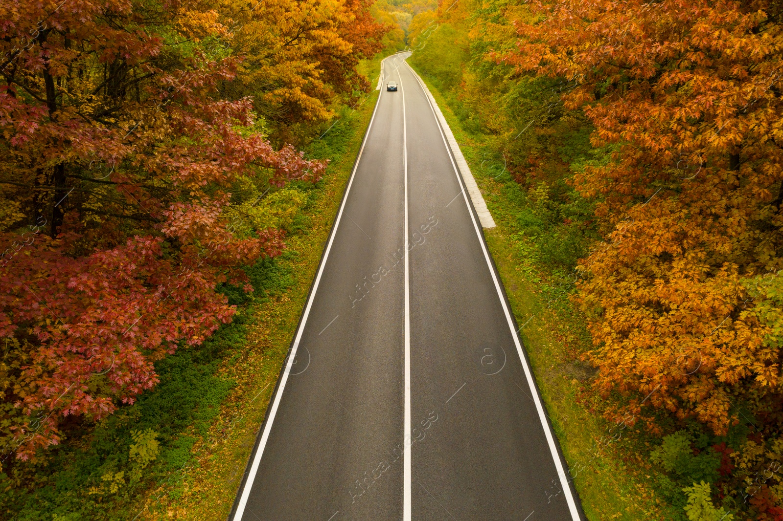 Image of Aerial view of road going through beautiful autumn forest